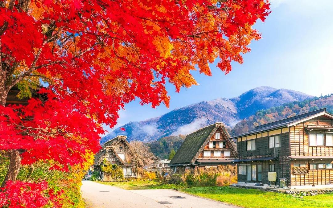 1-Day Guided Tour of Shiragawa-go and Takayama from Nagoya Image 2
