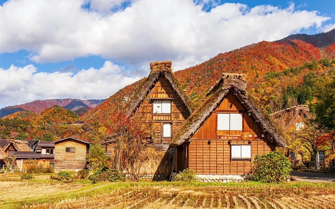 1-Day Guided Tour of Shiragawa-go and Takayama from Nagoya Image 5