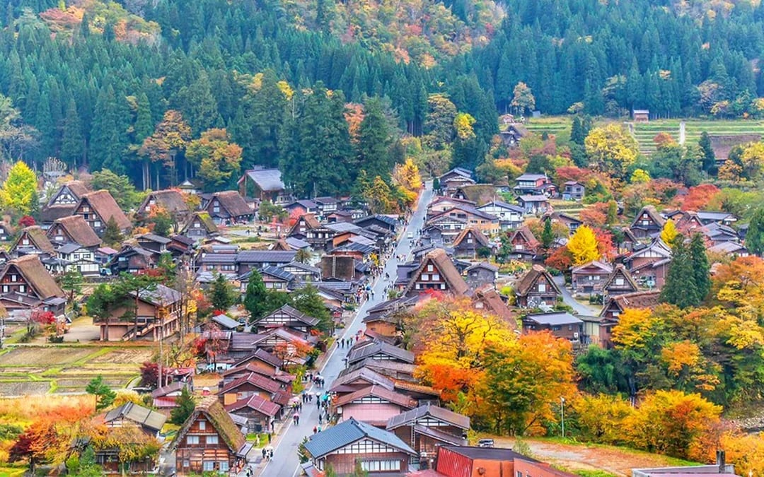 1-Day Guided Tour of Shiragawa-go and Takayama from Nagoya Image 6
