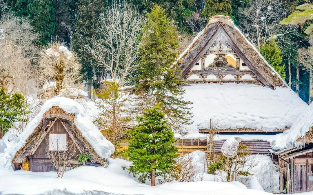 1-Day Guided Tour of Shiragawa-go and Takayama from Nagoya Image 7