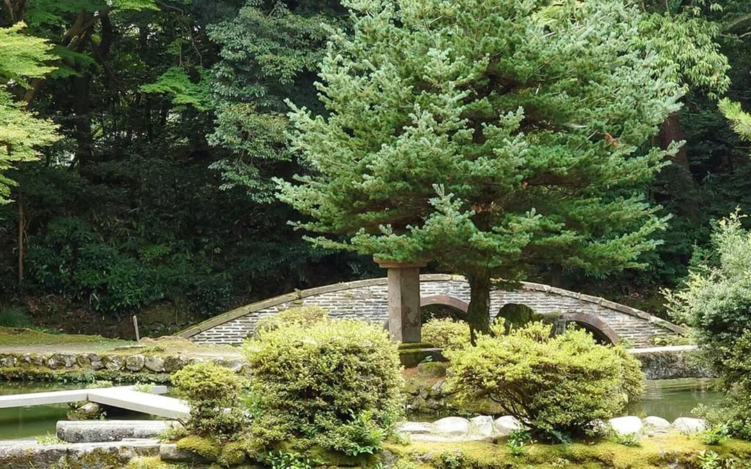 1-Day Tour from Kanazawa: Samurai, Matcha, Gardens and Geisha Image 7