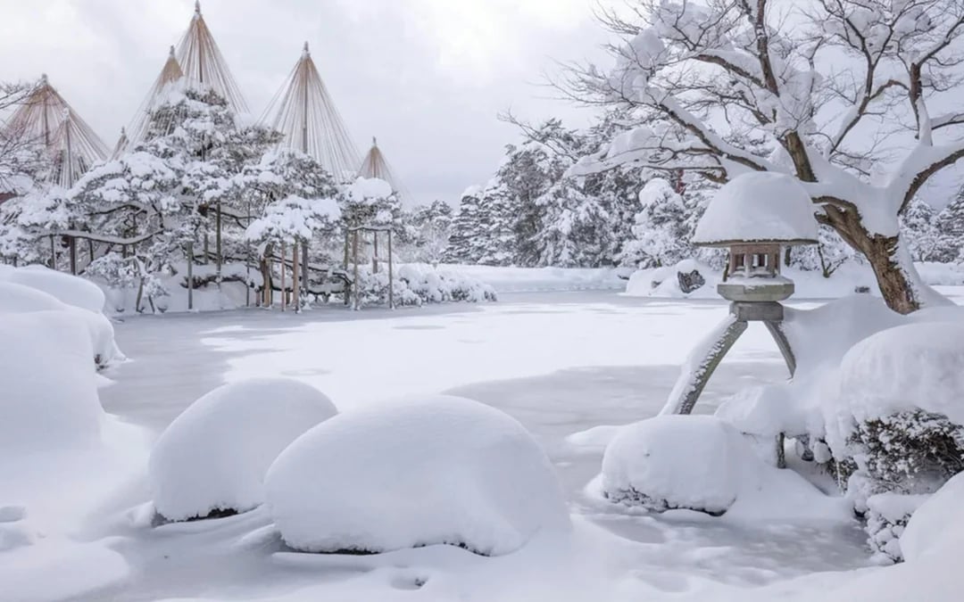 1-Day Tour from Kanazawa: Samurai, Matcha, Gardens and Geisha Image 8
