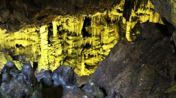 1-day tour to Motonosumi Shrine + Tsunoshima Bridge in Kitakyushu, featuring one of Japan's Three Great Caves