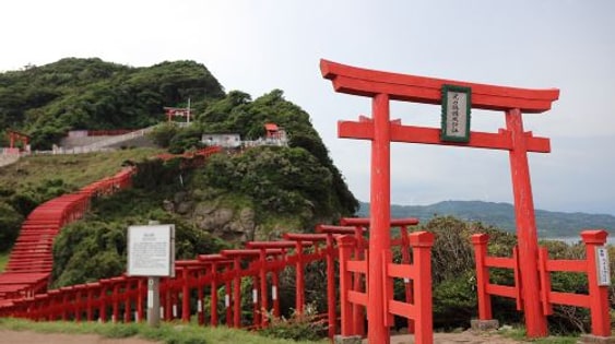 1-day tour to Motonosumi Shrine + Tsunoshima Bridge in Kitakyushu, featuring one of Japan's Three Great Caves