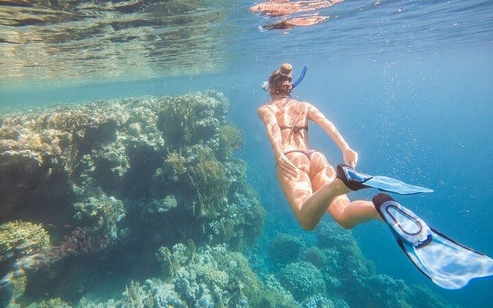 1 Hour Private Speedboat & Parasailing W/Transfer-Sharm El Sheikh Image 9