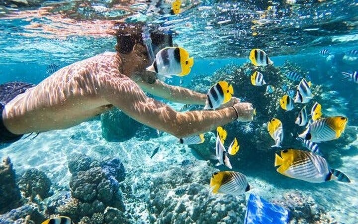 1 Hour Private Speedboat Ride Along the Shoreline -Sharm ElSheikh Image 2