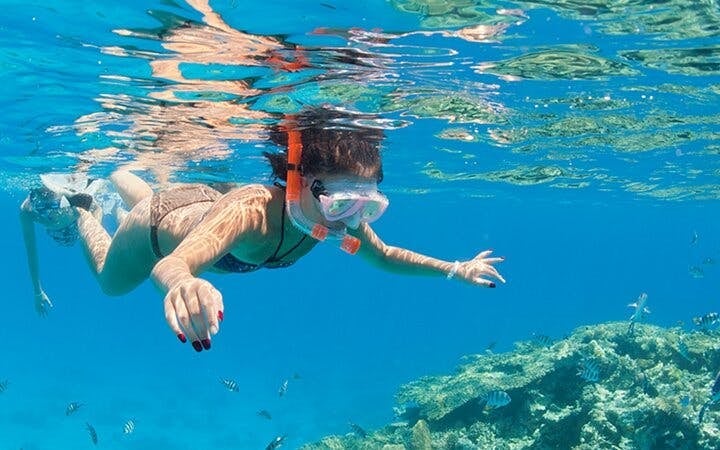 1 Hour Private Speedboat Ride Along the Shoreline -Sharm ElSheikh Image 3