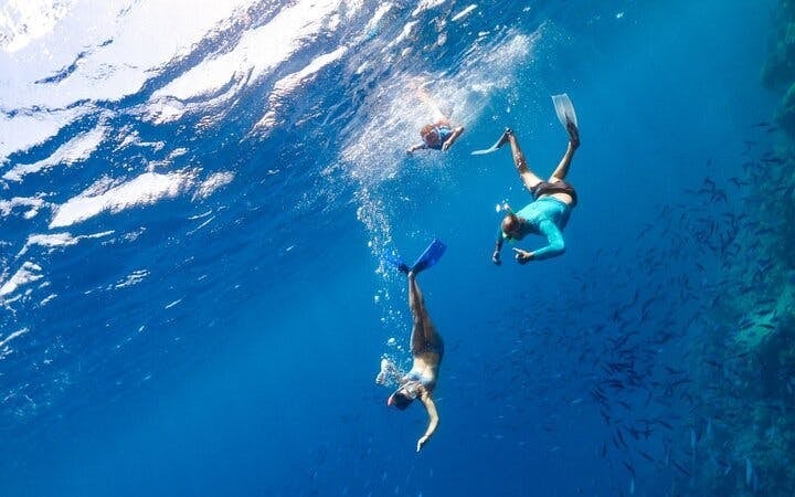 1 Hour Private Speedboat Ride Along the Shoreline -Sharm ElSheikh Image 9