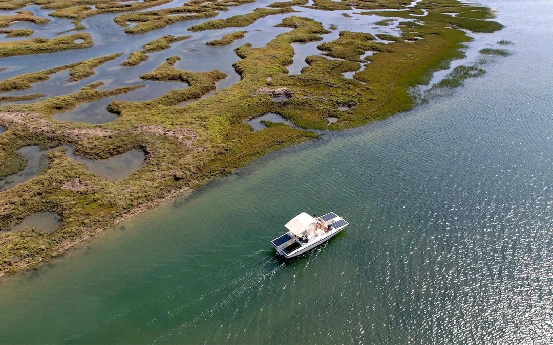 1-Hour Ria Formosa Eco Boat Tour Image 1