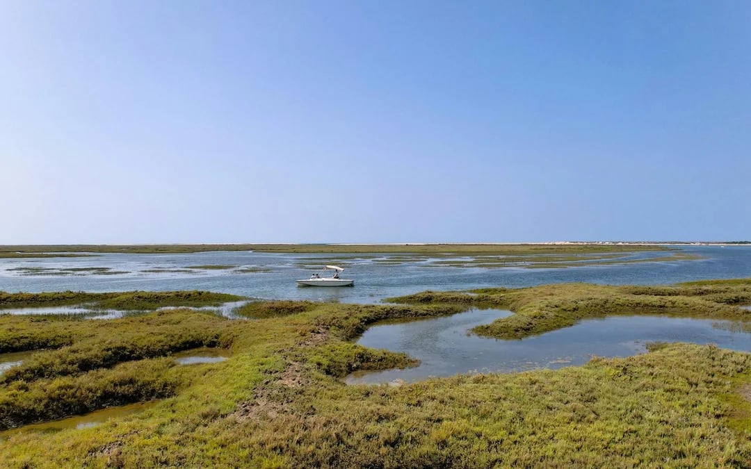 1-Hour Ria Formosa Eco Boat Tour Image 5