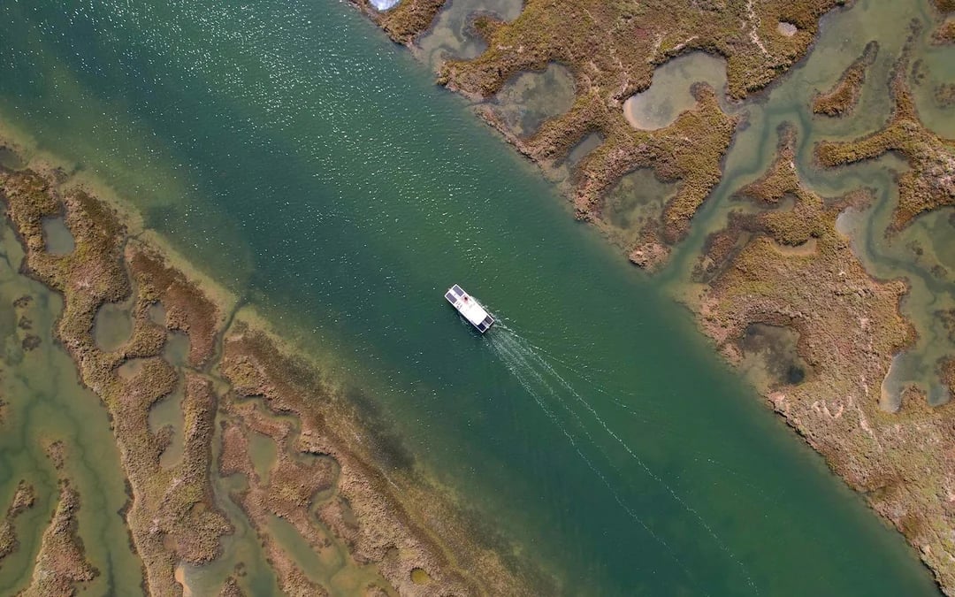 1-Hour Ria Formosa Eco Boat Tour Image 6