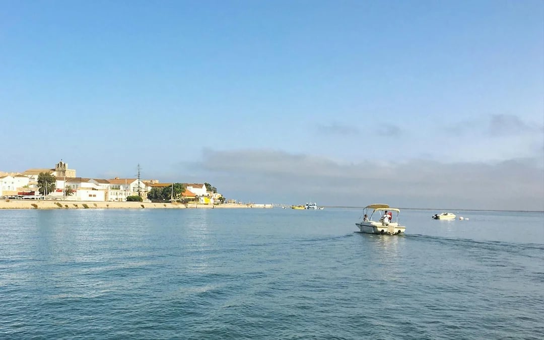 1-Hour Ria Formosa Eco Boat Tour Image 7