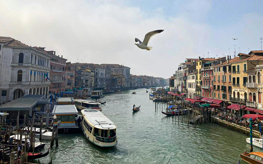 1-Hour Sightseeing Cruise on the Grand Canal Image 7