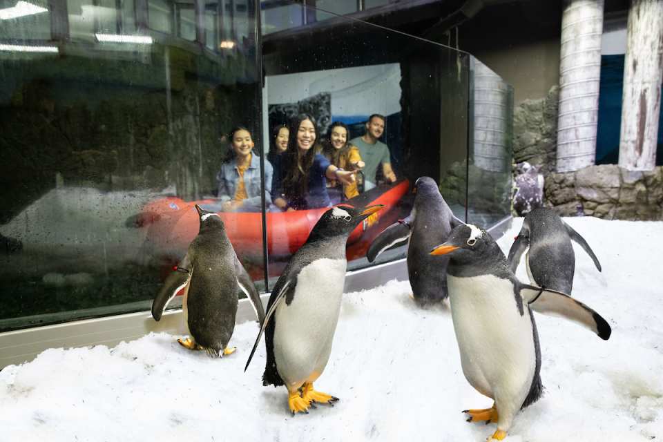[10+ Group Only] [QR Direct Entry] SEA LIFE Sydney Aquarium Admission Ticket | Australia