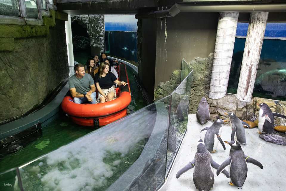 [10+ Group Only] [QR Direct Entry] SEA LIFE Sydney Aquarium Admission Ticket | Australia