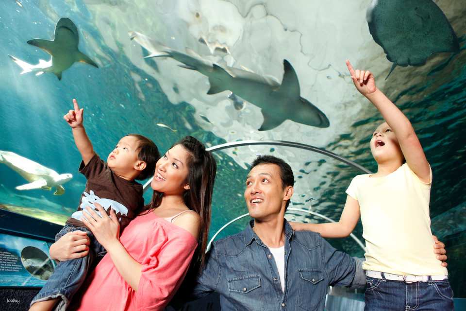 [10+ Group Only]  [QR Direct Entry] Sydney Attraction Combo Ticket - WIlD LIFE Zoo, Madame Tussauds, SEA LIFE Aquarium & Sydney Tower Eye Tickets | Australia