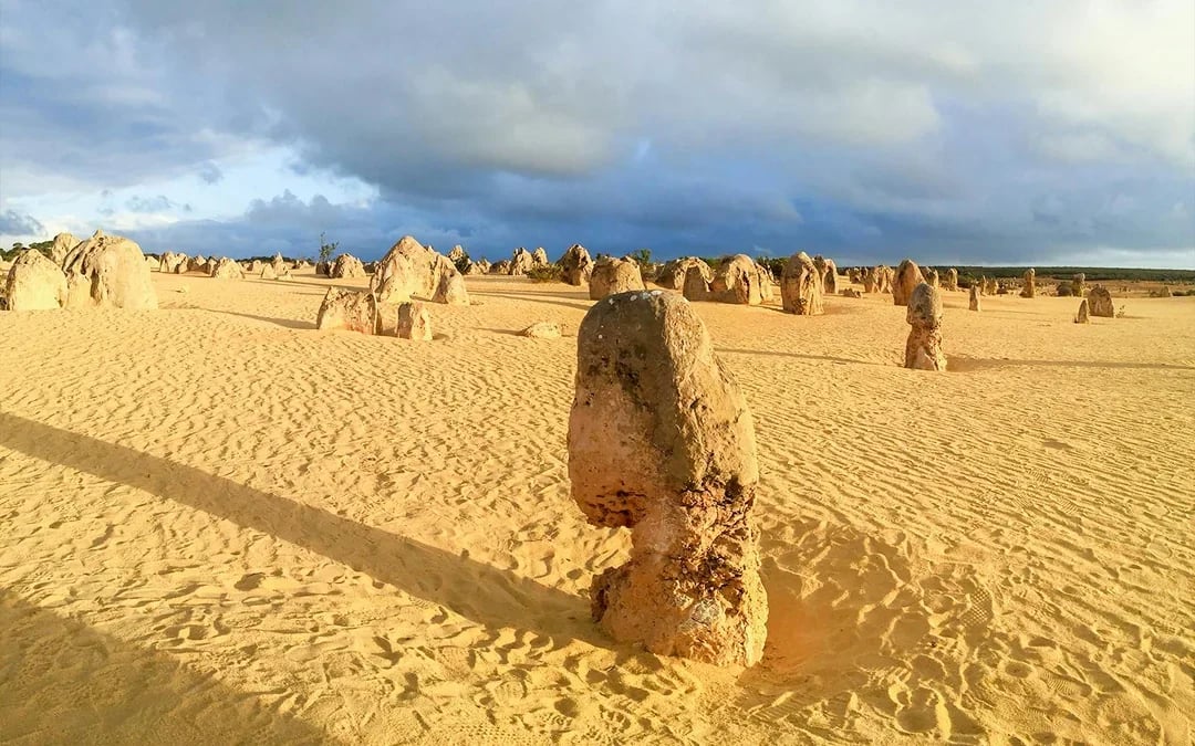 10-Hour Guided Tour of Australia's Pinnacles with Lunch & Round-Trip Hotel Transfers Image 4