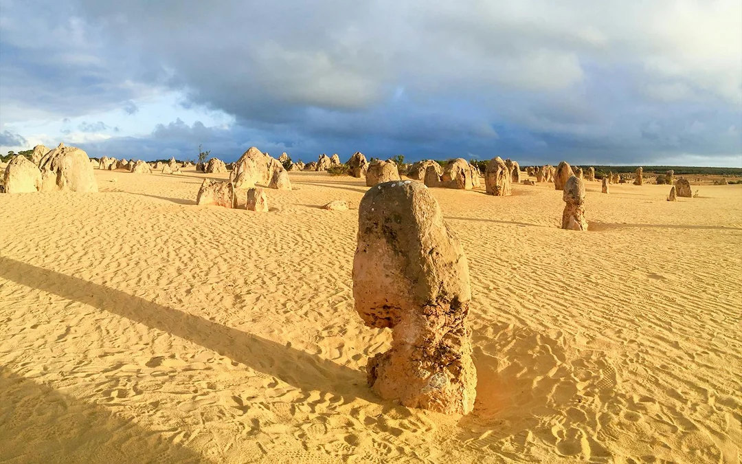 10-Hour Guided Tour of Australia's Pinnacles with Lunch & Round-Trip Hotel Transfers Image 4