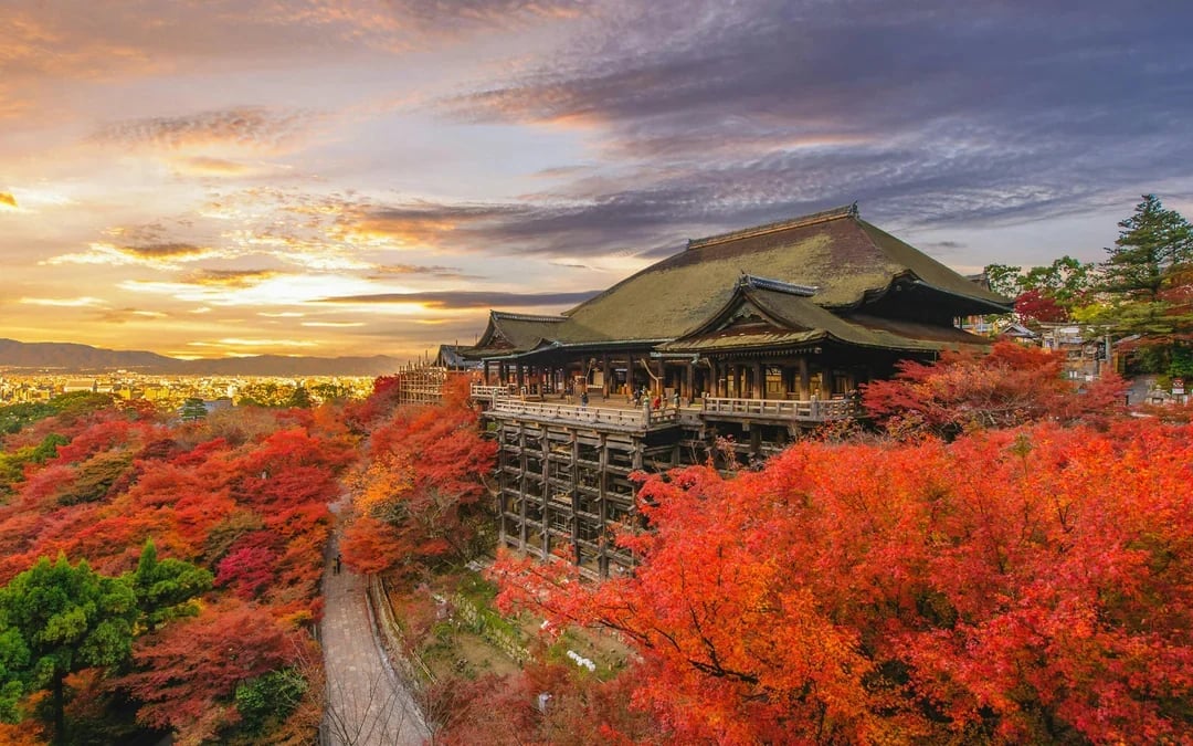 10 Hours Private charter car in Osaka and Kyoto, Japan Image 3