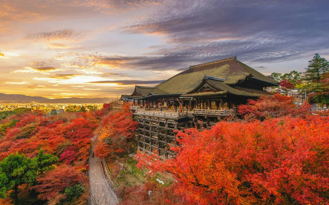 10 Hours Private charter car in Osaka and Kyoto, Japan Image 3