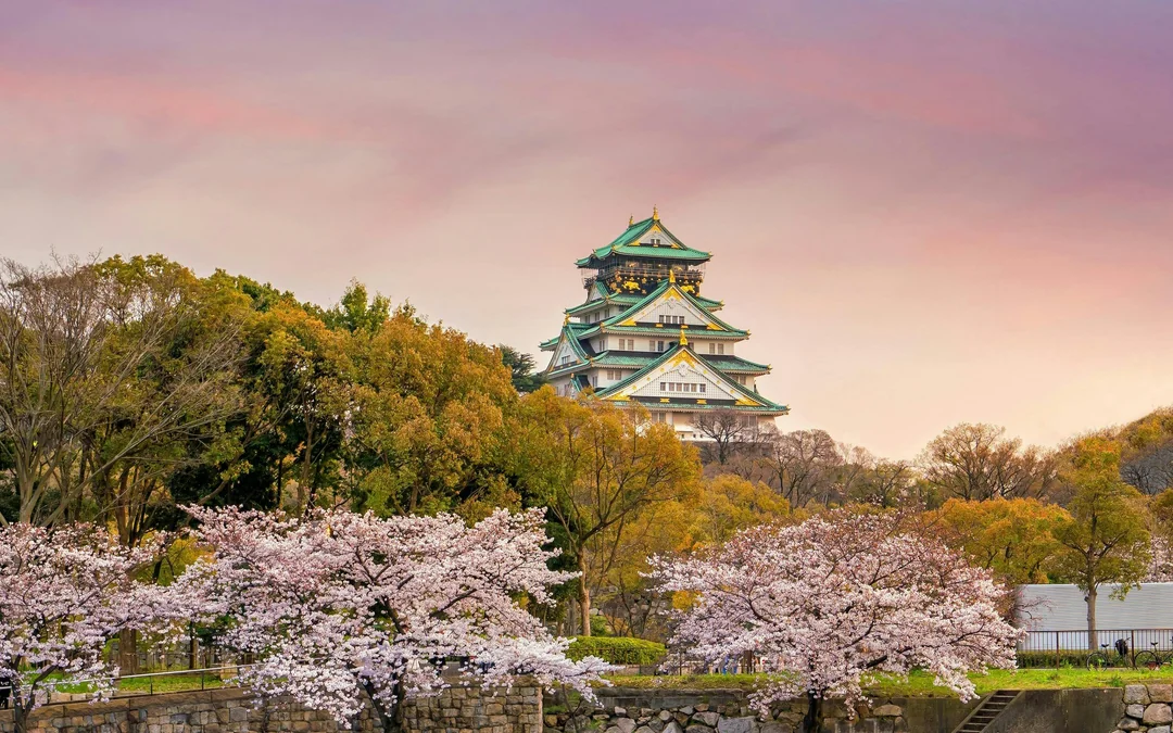 10 Hours Private charter car in Osaka and Kyoto, Japan Image 5