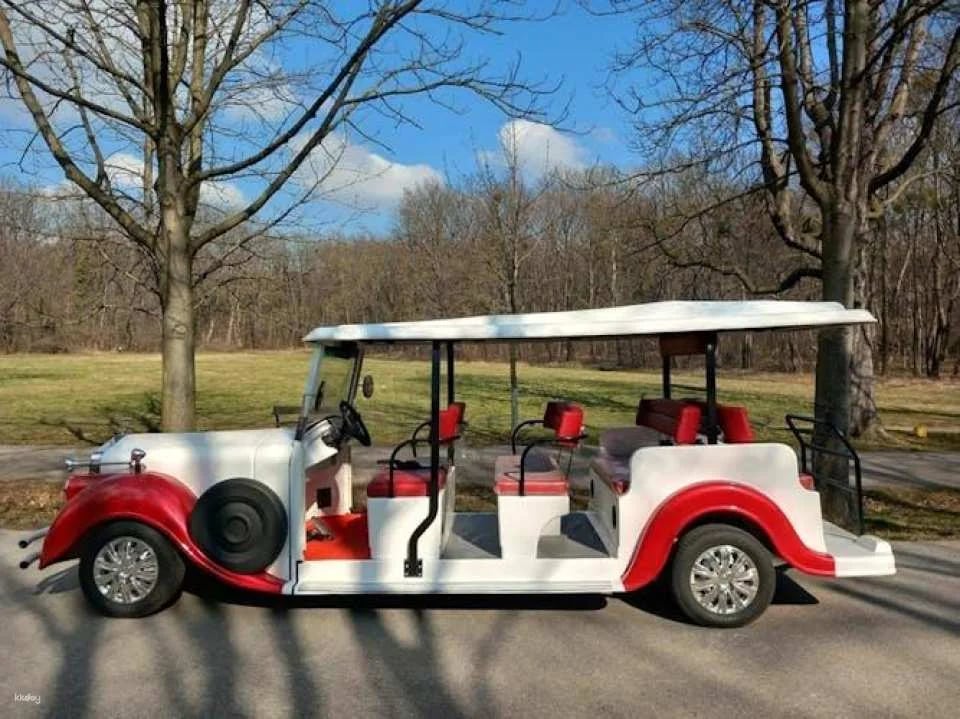 10 Seater Electric Classic Car Tour in Vienna