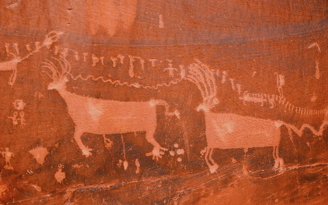 2.5 Hour Monument Valley Guided Loop Tour Image 5