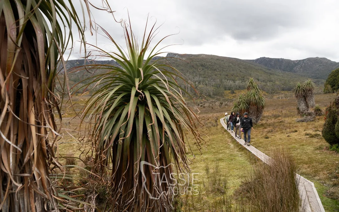 2 day | 1 night - Cradle Mt & Wineglass Bay, overnight in La Image 4