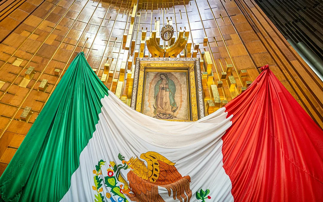 2-Day Mexico City Tour: Teotihuacán, Basilica, Frida Kahlo Museum, Xochimilco & Coyoacán Image 4