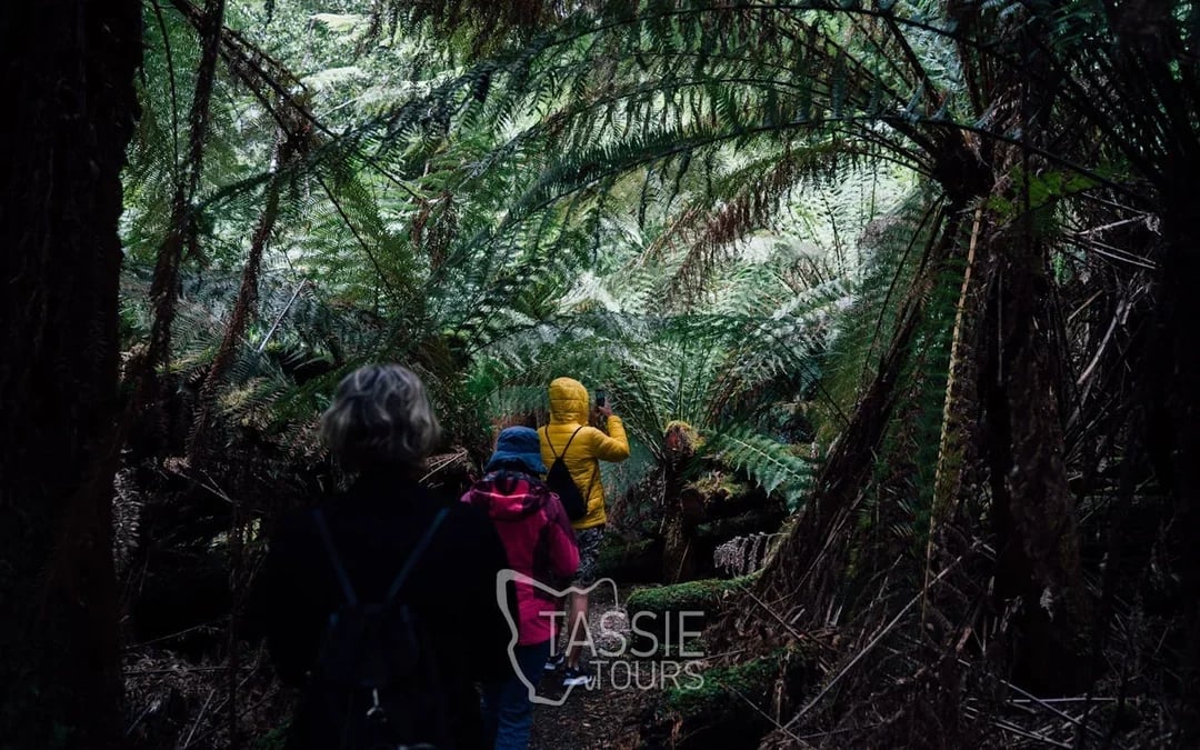 2 Day Tasmanian Highlights Bundle 3 - Bruny Island & Port Ar Image 2