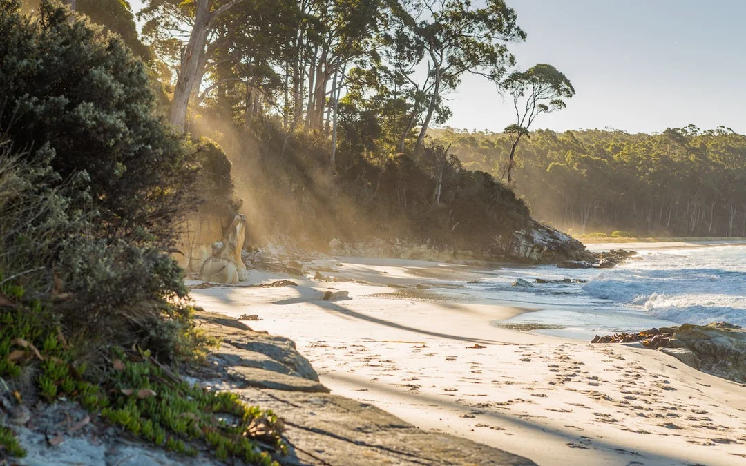 2 Day Tasmanian Highlights Bundle 3 - Bruny Island & Port Ar Image 8