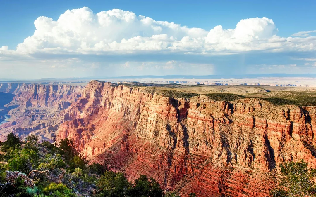 2-hour Grand Canyon National Park Hummer Tour Image 2