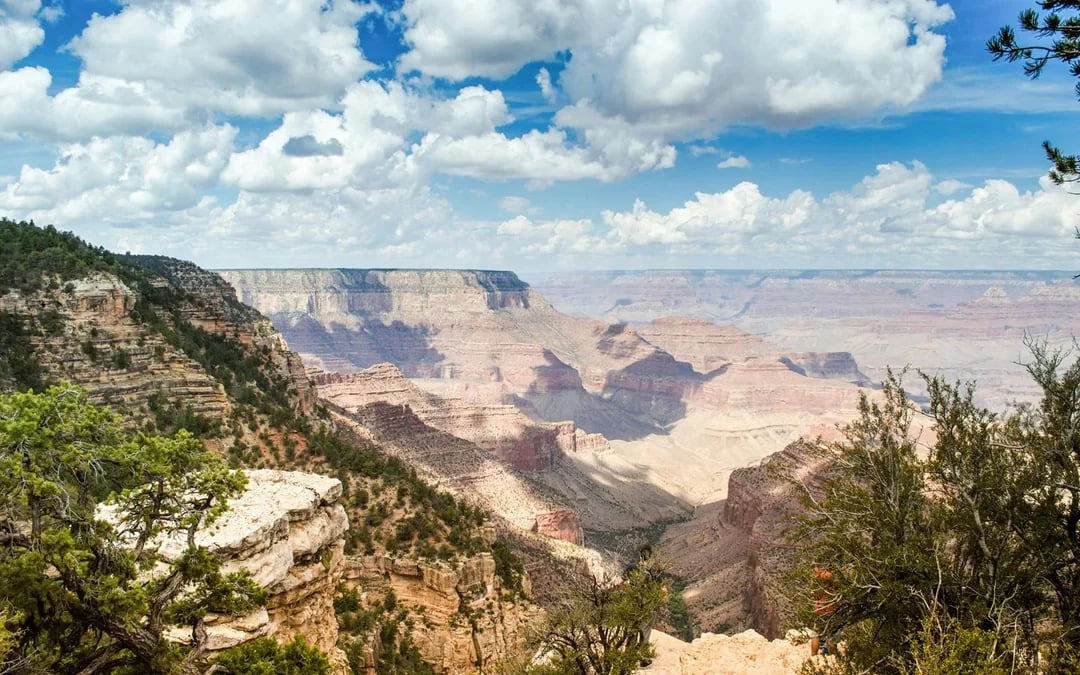 2-hour Grand Canyon National Park Hummer Tour Image 4
