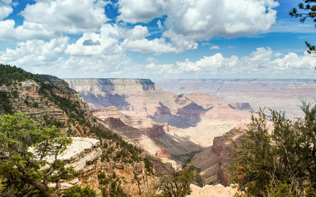 2-hour Grand Canyon National Park Hummer Tour Image 4