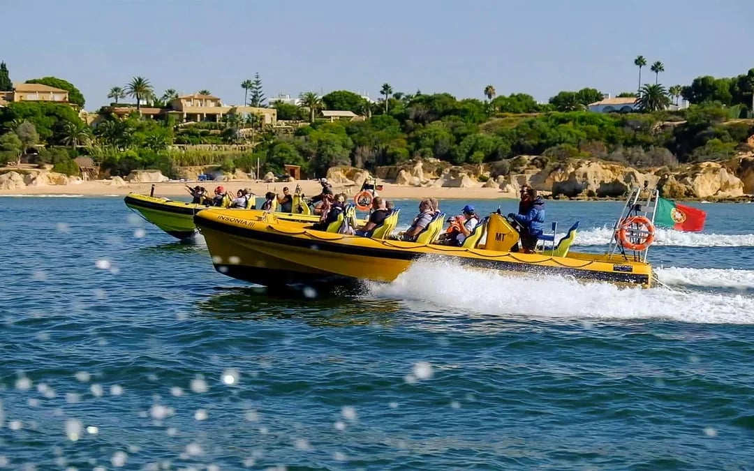 2 Hour Guided Dolphin Watching and Cave Cruise in Algarve Image 7