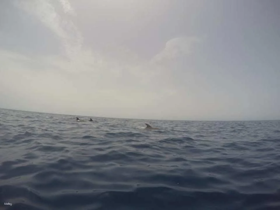 2-hour kayaking experience in Tenerife