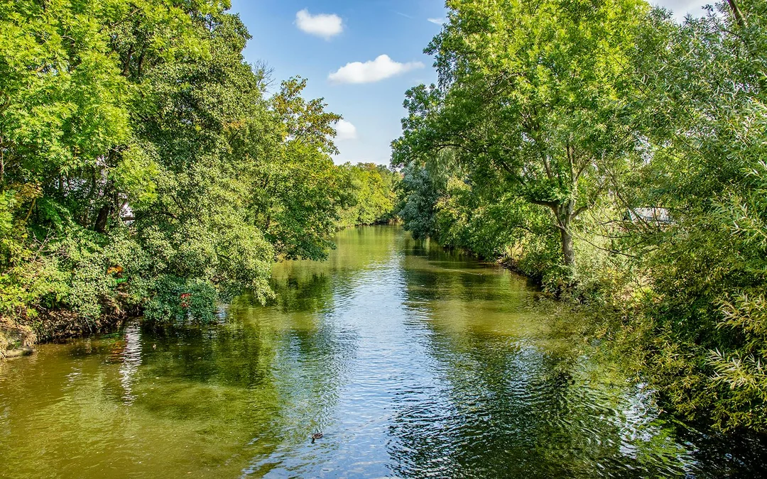2-hour Motorboat Tour in Riverside Forest Image 6
