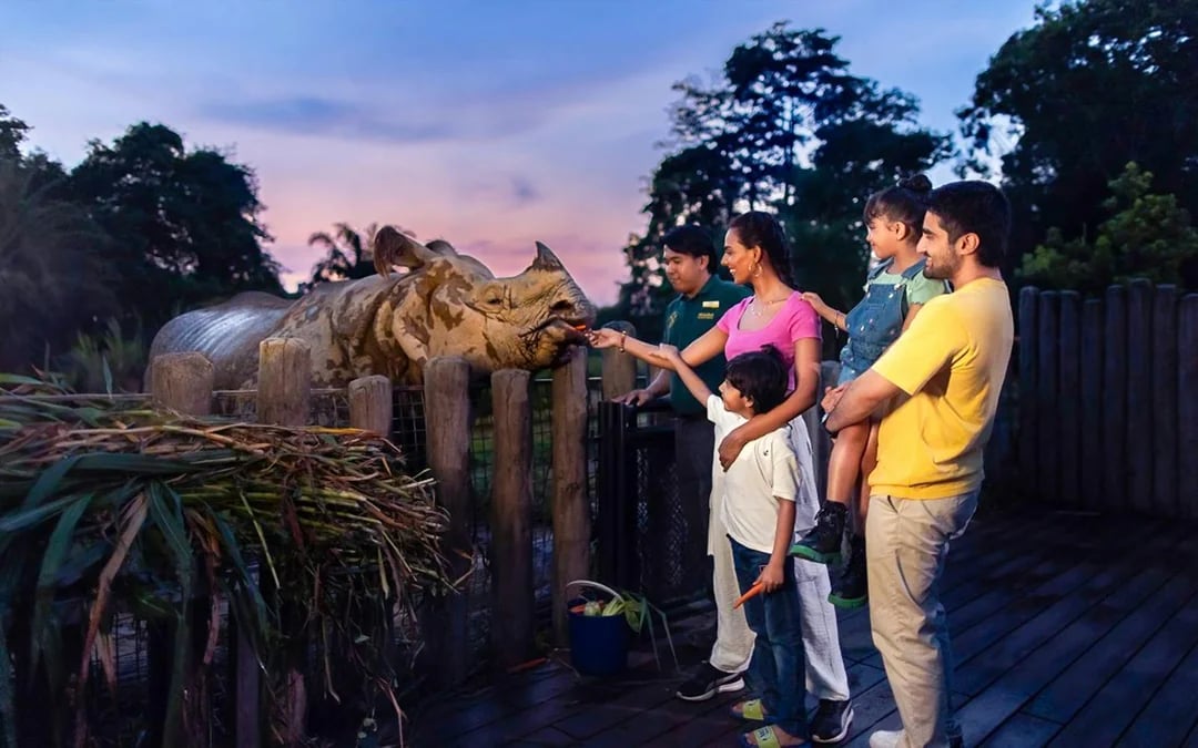 2-Park Combo: Night Safari + Exploria Tickets Image 1
