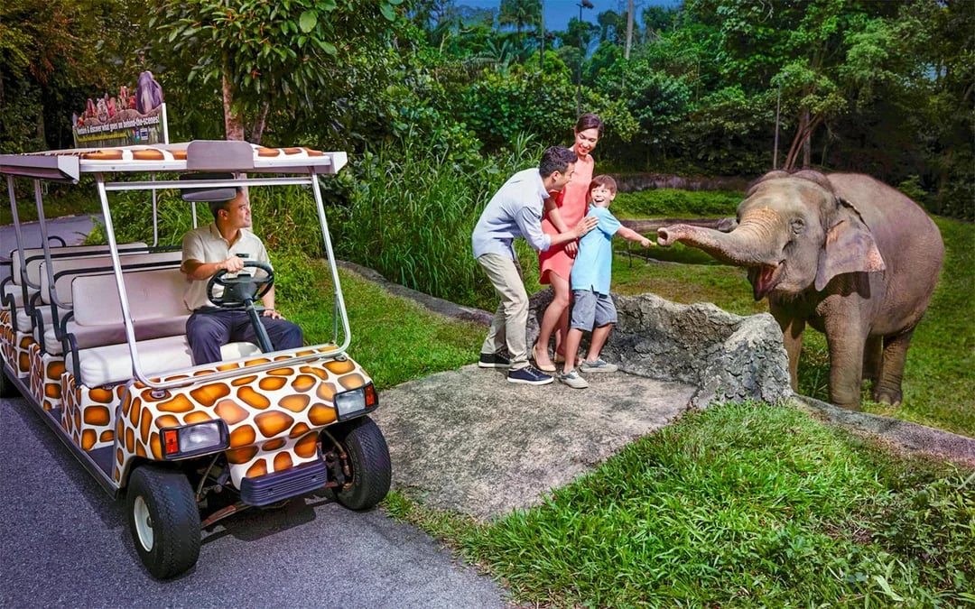 2-Park Combo: Night Safari + Exploria Tickets Image 6