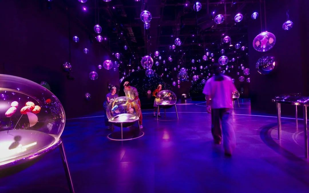 2-Park Combo: Night Safari + Exploria Tickets Image 8