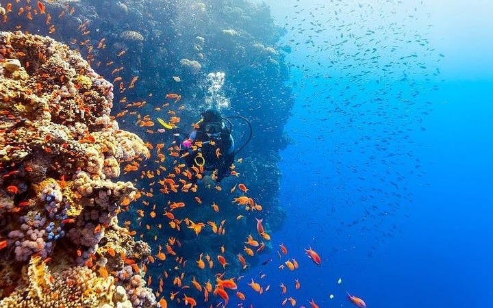 2 Stops Scuba Diving Full Day Boat Trip For Beginners With Lunch – Hurghada Image 2