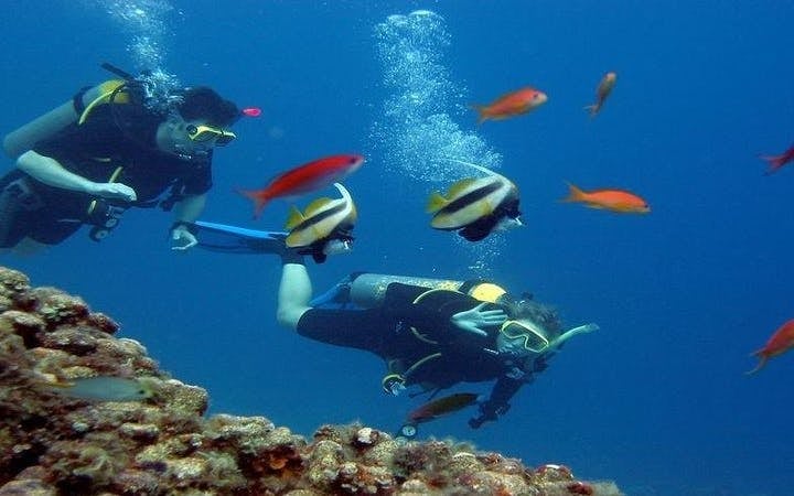 2 Stops Scuba Diving Full Day Boat Trip For Beginners With Lunch – Hurghada Image 6