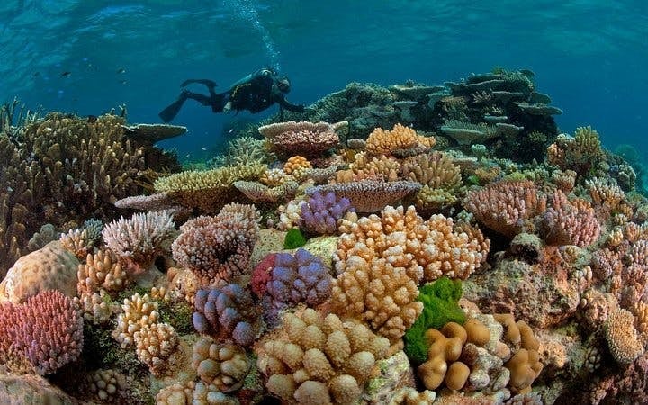 2 Stops Scuba Diving Full Day Boat Trip For Beginners With Lunch – Hurghada Image 10