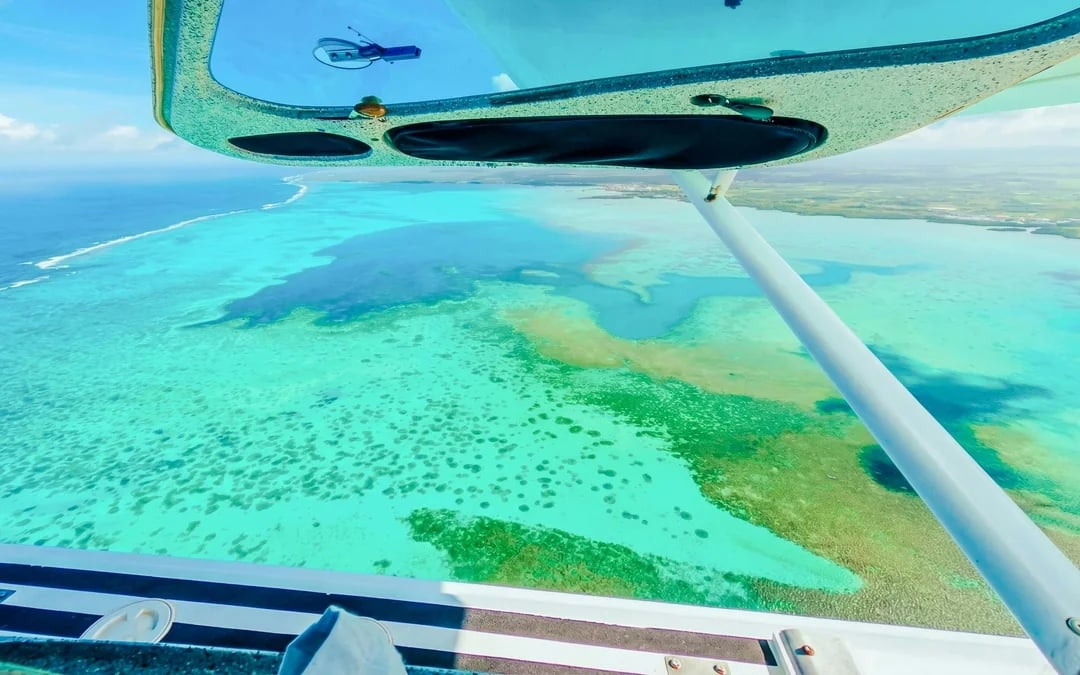 20-Minute Private Scenic Seaplane Tour  Image 5