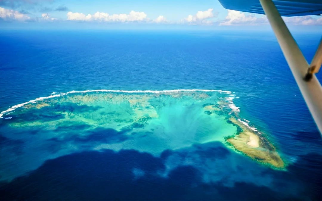 20-Minute Private Scenic Seaplane Tour Image 8