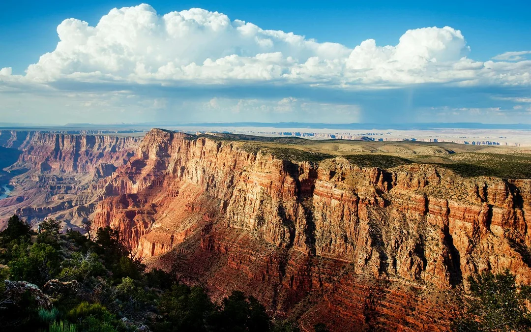 25/45-min Grand Canyon National Park Helicopter/Airplane & Hummer Tour Image 3
