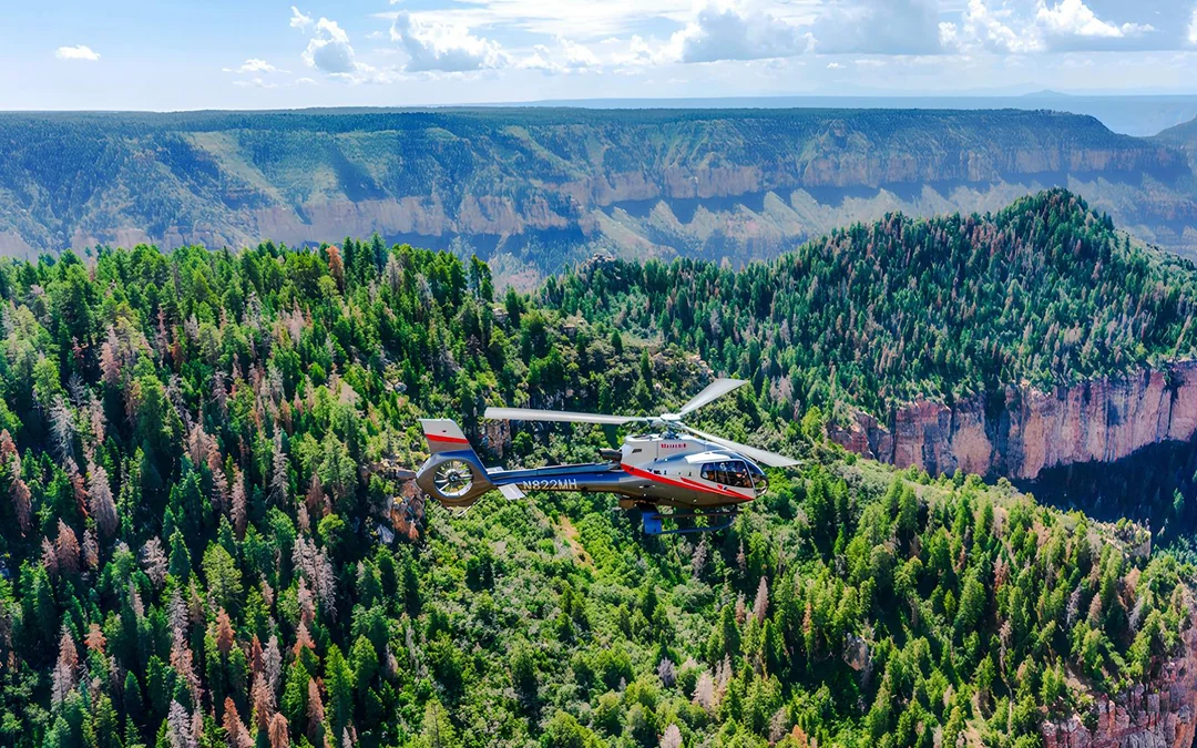 25-min Grand Canyon National Park Helicopter Tour with Optional Hummer Tour Image 4