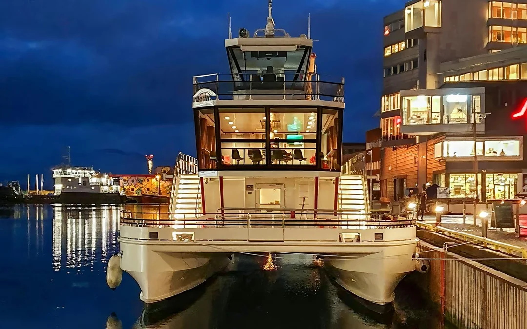 3.5-Hour Electric Northern Lights Guided Cruise with Light Meals Image 2