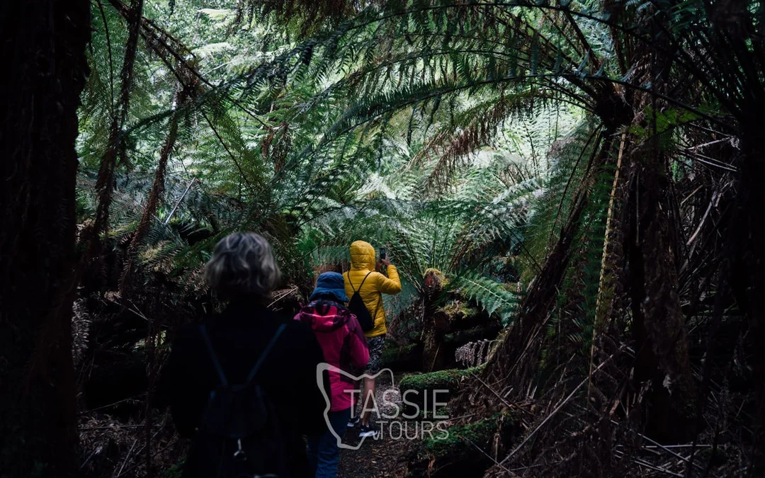 3 Day Tasmanian Highlights Bundle 1 – Hobart, Port Arthur an Image 10
