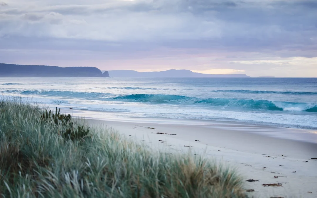3 Day Tasmanian Highlights Bundle 2 – Hobart, Wineglass Bay and Bruny Island Image 2